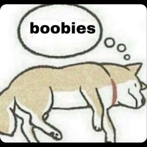 Meet your Posher, Gavin